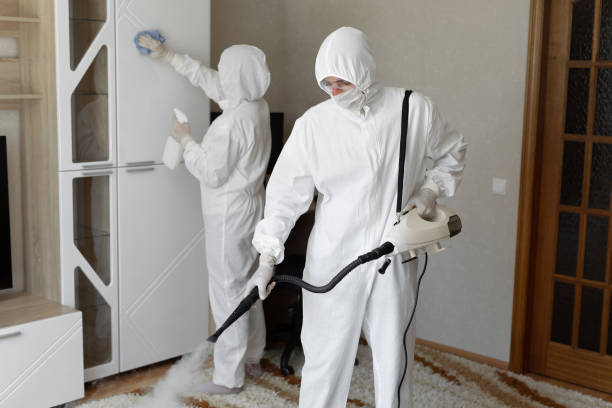 24/7 Emergency Odor Removal experts in Allendale, NJ